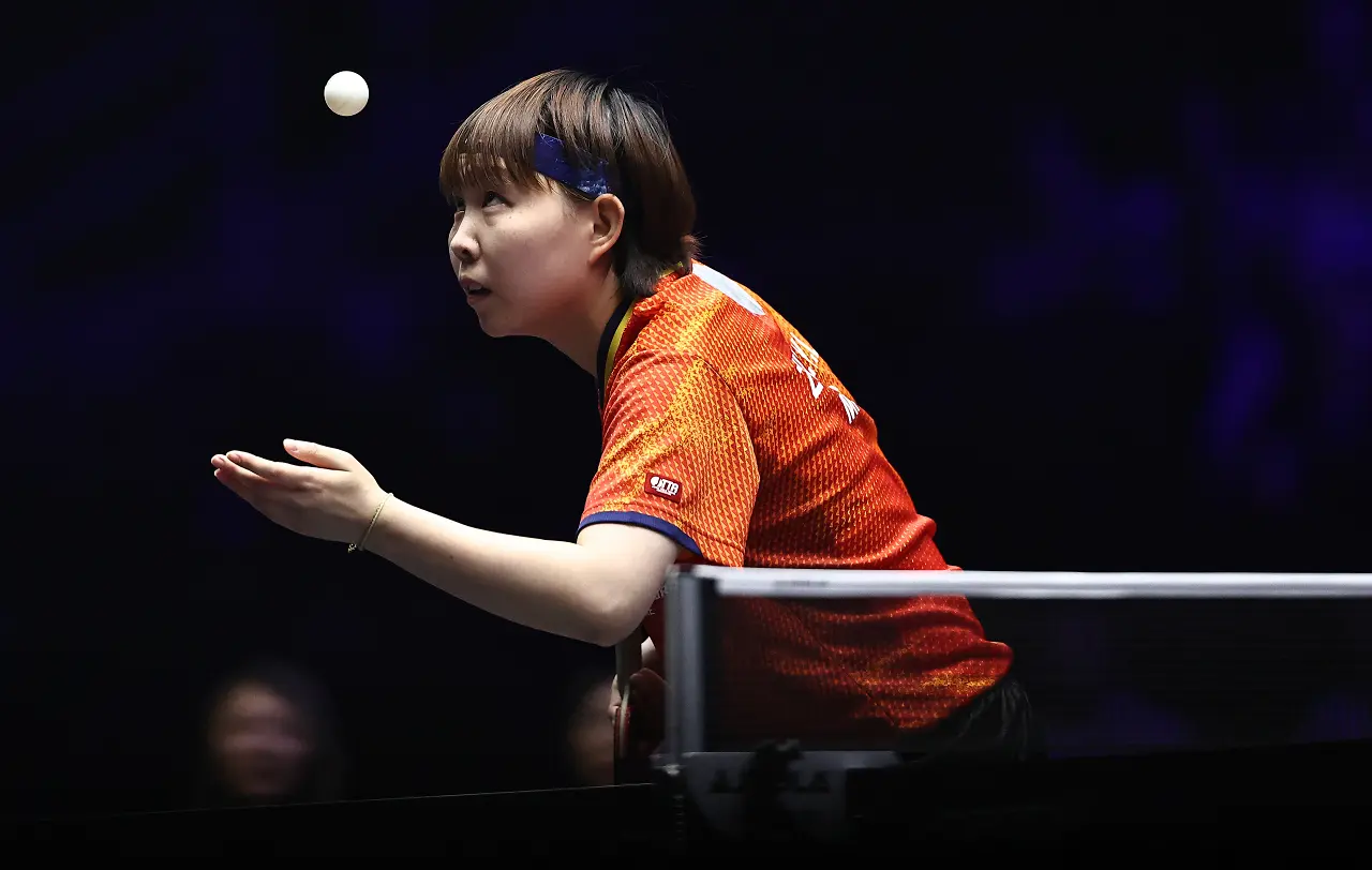 莹再战张本, entit